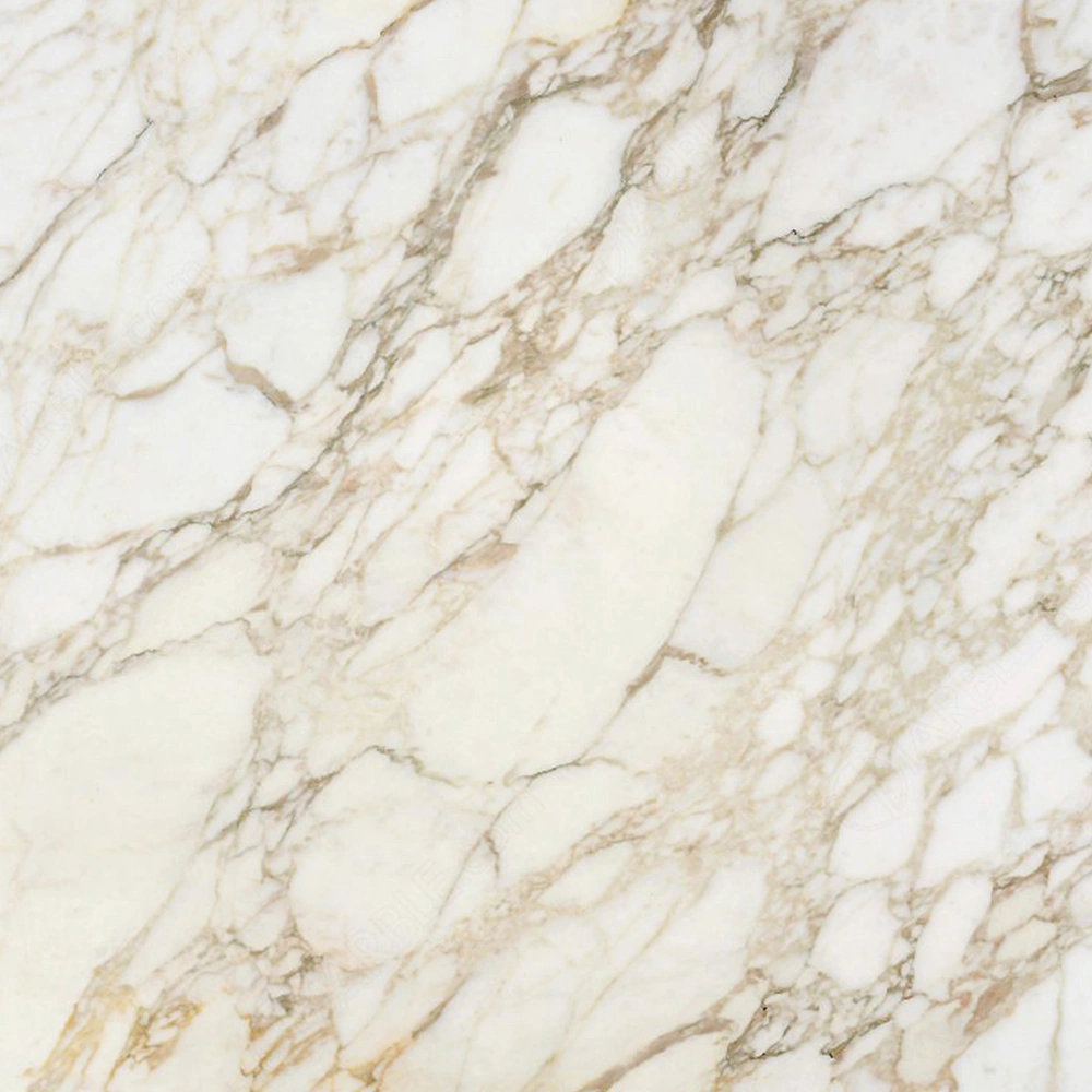 Marble Calacatta Oro