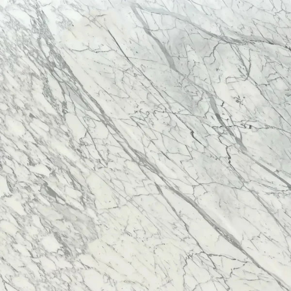 Marble Statuario Venatino
