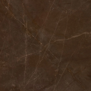 Bronze Armani