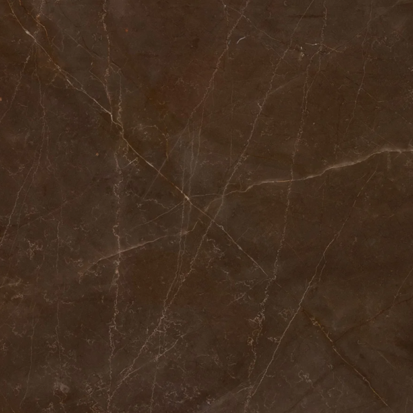 Bronze Armani